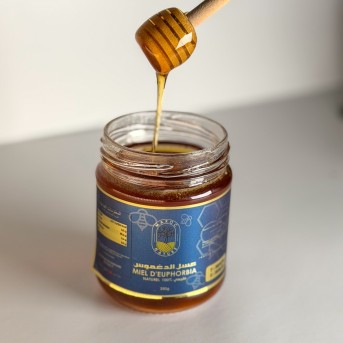 Miel d'Euphorbe Daghmouss- Sélection PREMIUM