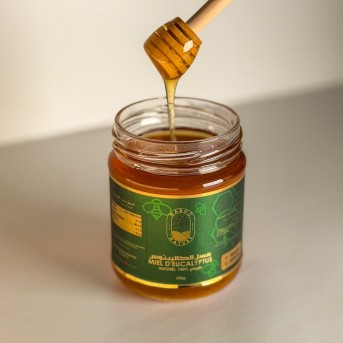 Miel d’Eucalyptus | Miel Naturel Aromatique – Sélection Premium